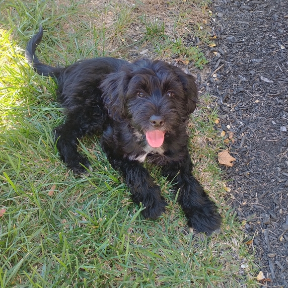 Meet the Posher Other - Meet your Posher, Laura